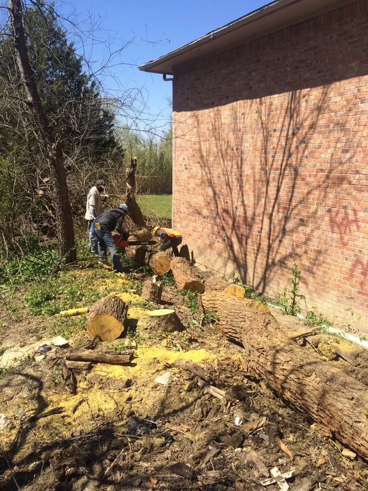 Top-rated landscape installation for outdoor upgrades in Prosper, TX by Texas Grass Cutters