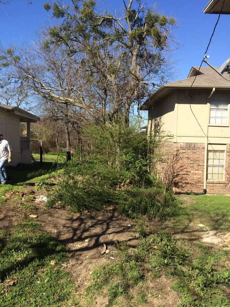Expert yard maintenance in Prosper, TX - Texas Grass Cutters