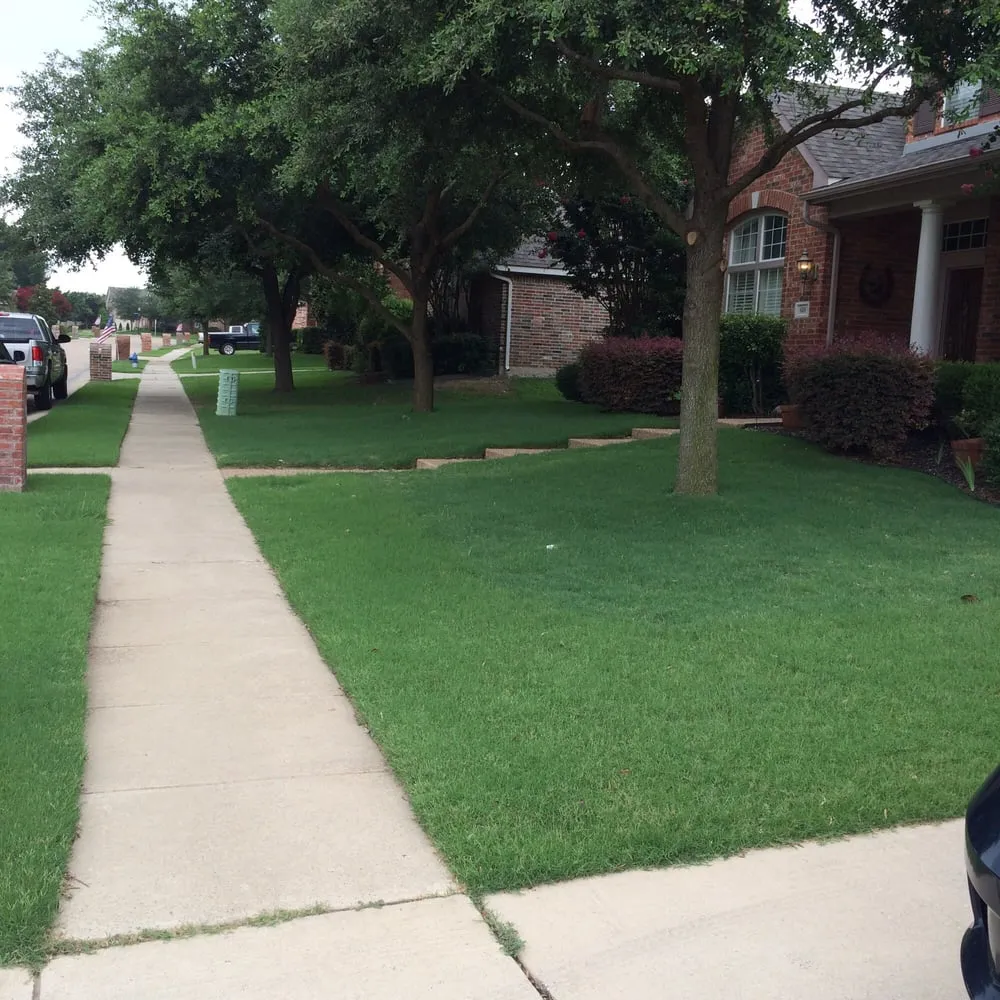 Affordable yard maintenance for homes in Prosper, TX by Texas Grass Cutters