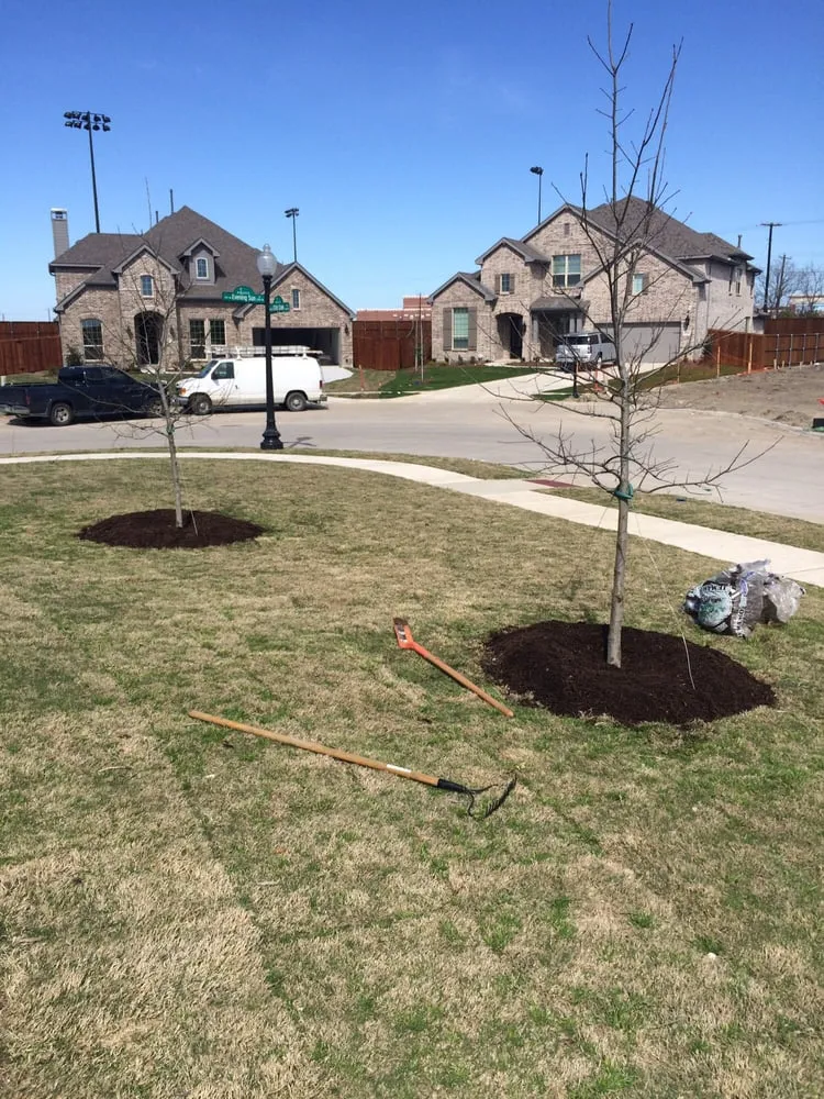Professional yard maintenance experts serving Prosper, TX - Texas Grass Cutters