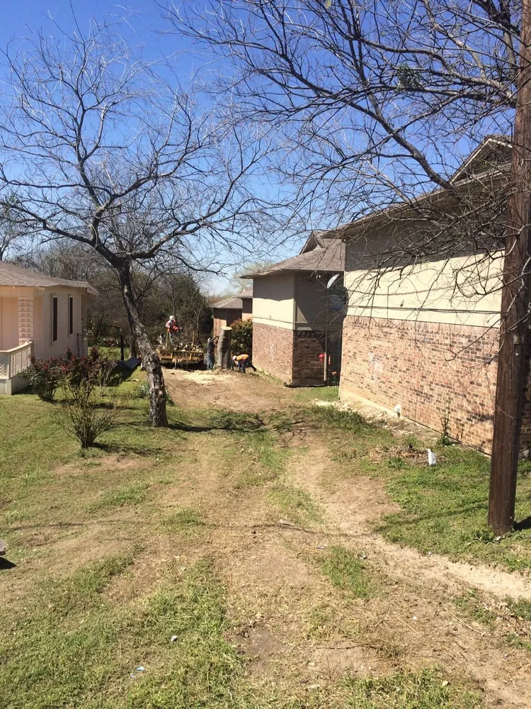 Expert landscape design in Prosper, TX by Texas Grass Cutters