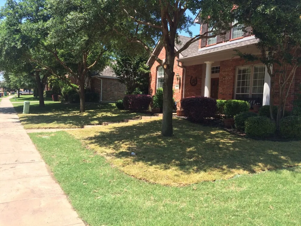 Trusted landscape design experts serving Prosper, TX - Texas Grass Cutters
