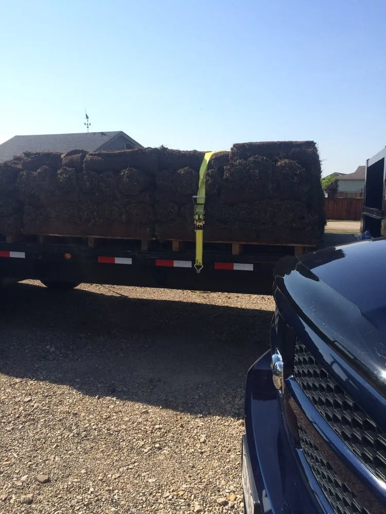 Professional landscape design in Prosper, TX by Texas Grass Cutters