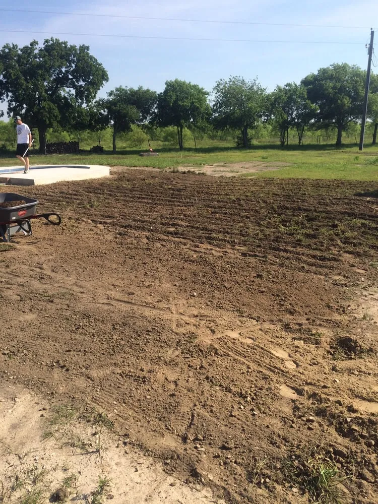 Top-rated lawn care service in Prosper, TX by Texas Grass Cutters