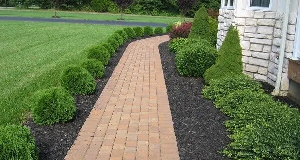 Affordable residential landscaping with custom design across Prosper, TX - Texas Grass Cutters