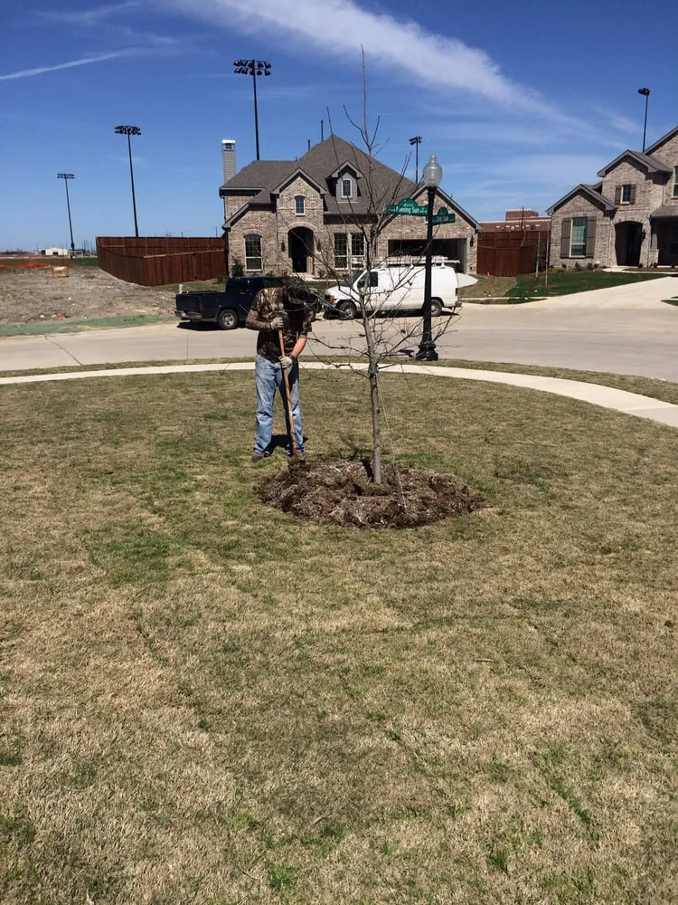 Trusted landscape design in Prosper, TX - Texas Grass Cutters