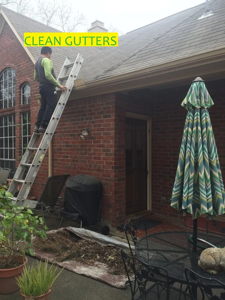 Local yard cleanup service for outdoor upgrades across Sugar Land, TX - Texas Grass Factory