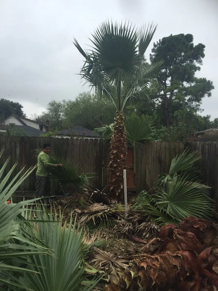 Professional garden landscaping in Sugar Land, TX - Texas Grass Factory