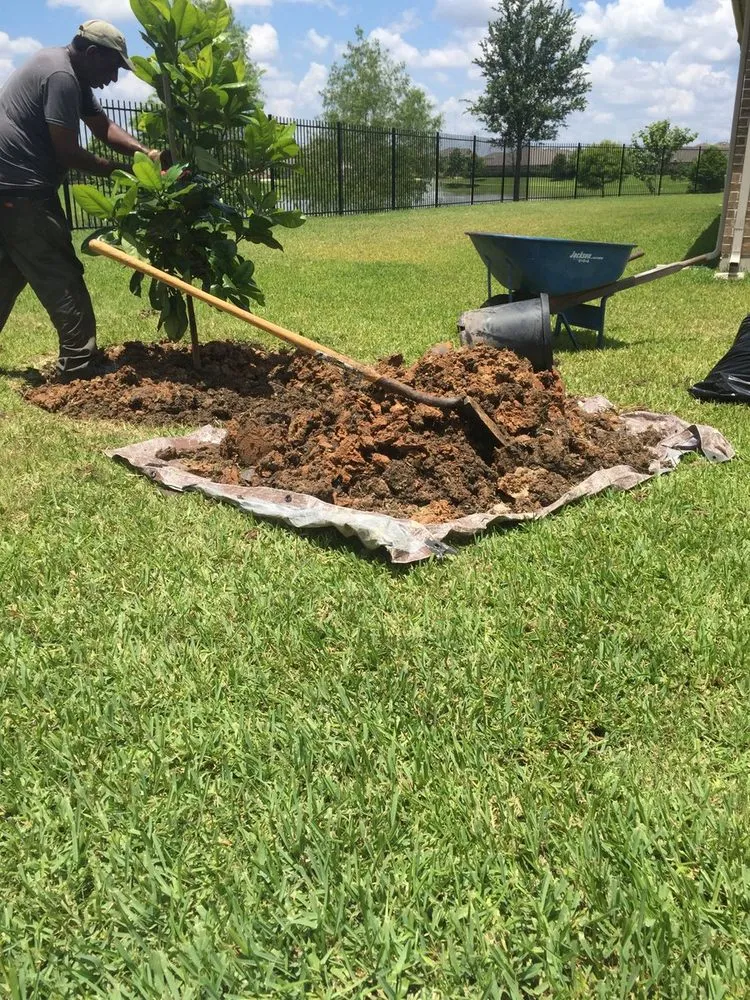 Reliable landscaping services in Sugar Land, TX by Texas Grass Factory