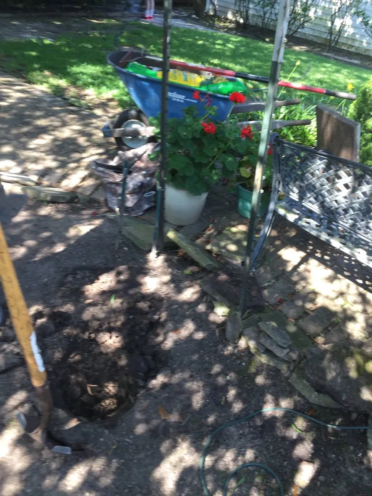 Local outdoor landscaping experts serving Sugar Land, TX - Texas Grass Factory