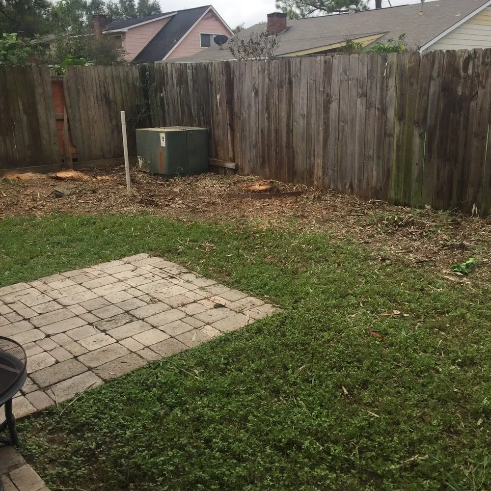 Local landscaping services for beautiful yards across Sugar Land, TX - Texas Grass Factory