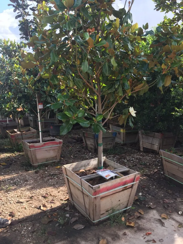 Professional garden landscaping experts serving Sugar Land, TX - Texas Grass Factory