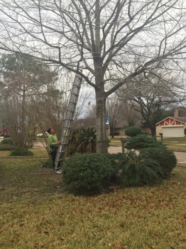 Affordable garden landscaping for beautiful yards across Sugar Land, TX - Texas Grass Factory