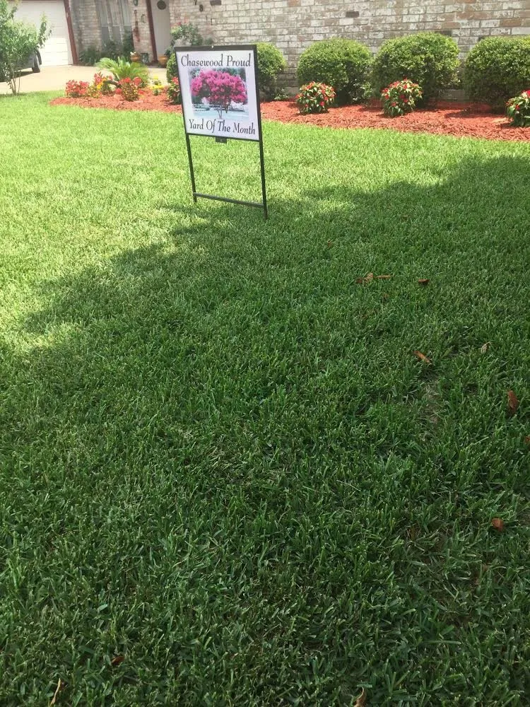 Custom landscaping services in Sugar Land, TX by Texas Grass Factory