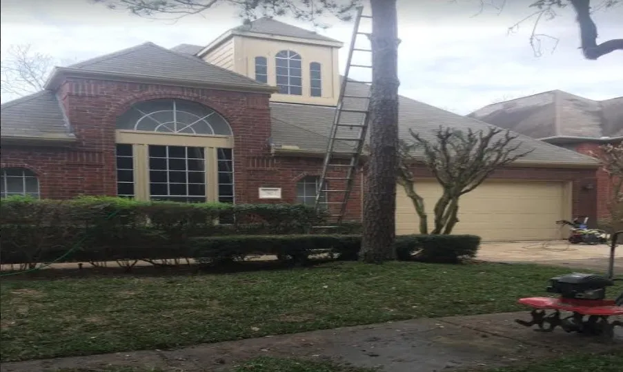 Expert landscape design for outdoor upgrades in Sugar Land, TX by Texas Grass Factory