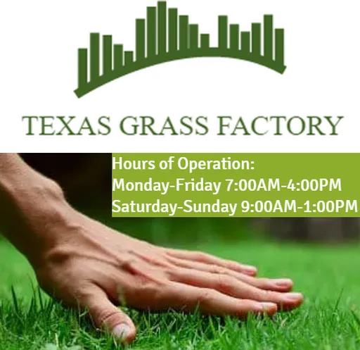 Professional landscape installation experts serving Sugar Land, TX - Texas Grass Factory