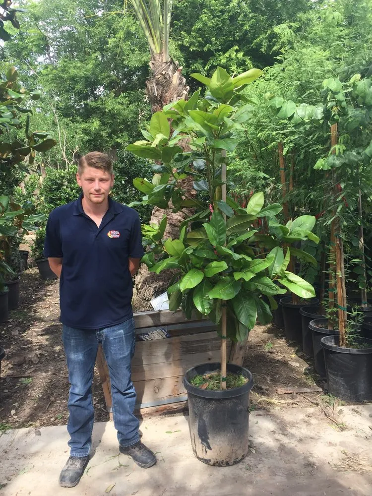 Professional landscaping services for outdoor upgrades in Sugar Land, TX by Texas Grass Factory