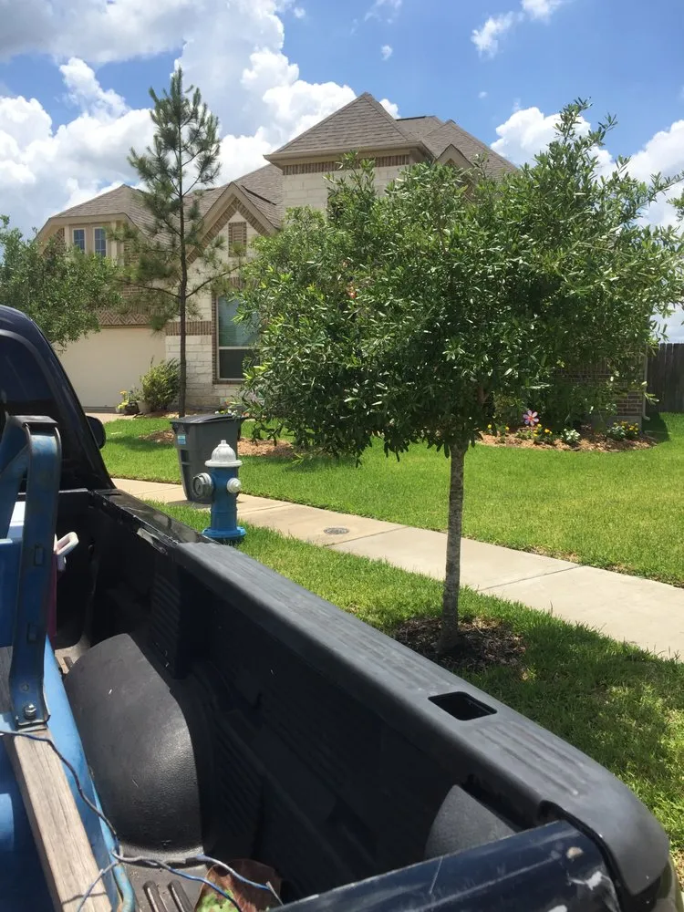 Custom lawn care service experts serving Sugar Land, TX - Texas Grass Factory