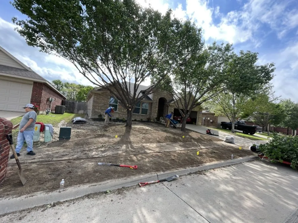 Affordable landscape installation for year-round maintenance across lancaster, TX - Texas Green Boys