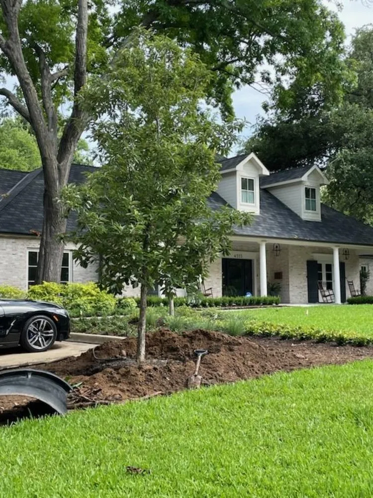 Reliable landscaping services near you across lancaster, TX - Texas Green Boys