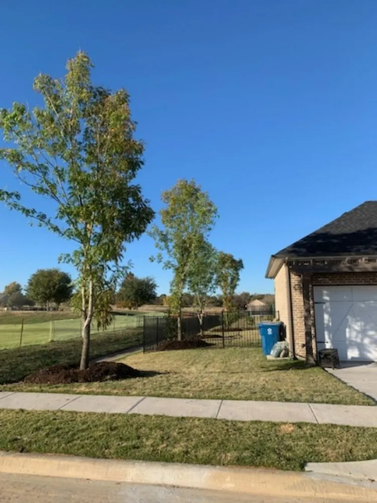 Custom residential landscaping in lancaster, TX - Texas Green Boys