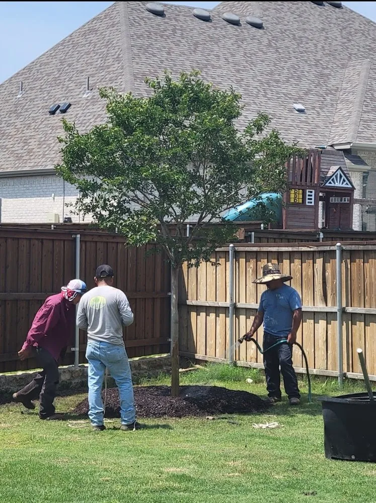 Reliable landscaping services experts serving lancaster, TX - Texas Green Boys