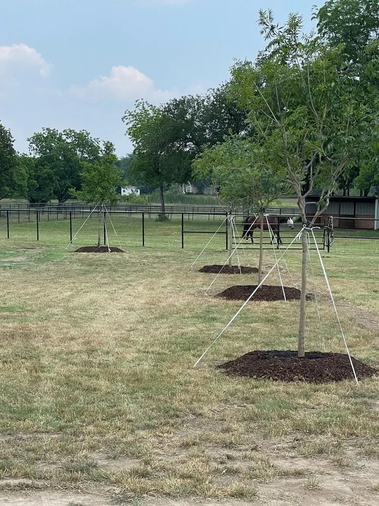 Affordable yard maintenance with custom design across lancaster, TX - Texas Green Boys