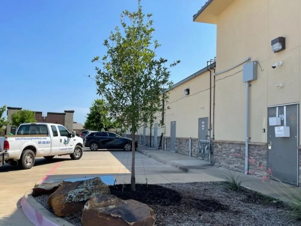 Trusted yard maintenance experts serving lancaster, TX - Texas Green Boys