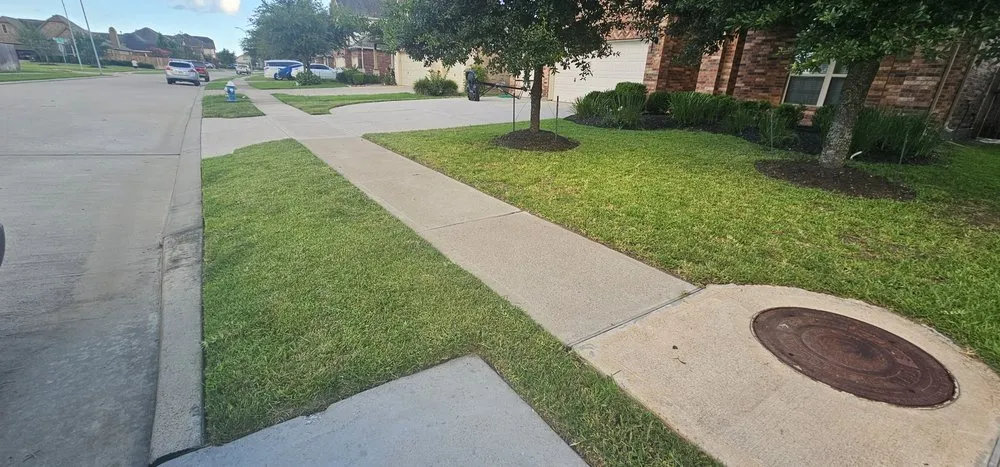 Local yard cleanup service experts serving Houston, TX - Texas Green House Lawn Care