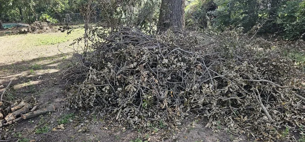 Top-rated outdoor landscaping in Houston, TX - Texas Green House Lawn Care