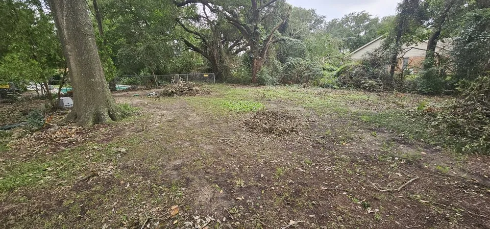 Custom yard cleanup service for homes in Houston, TX by Texas Green House Lawn Care