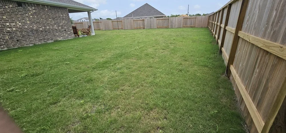 Local yard cleanup service experts serving Houston, TX - Texas Green House Lawn Care