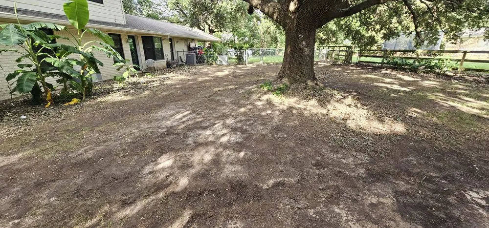 Trusted yard maintenance in Houston, TX - Texas Green House Lawn Care