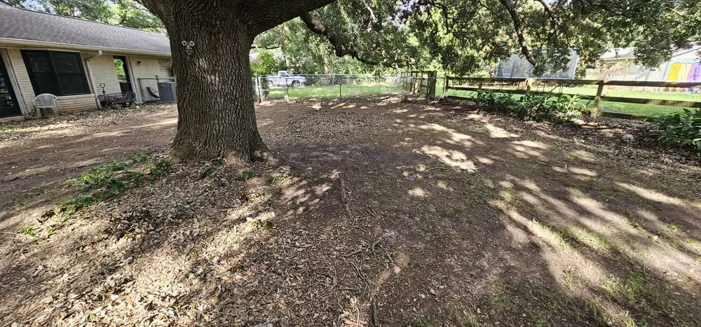 Reliable outdoor landscaping for beautiful yards in Houston, TX by Texas Green House Lawn Care