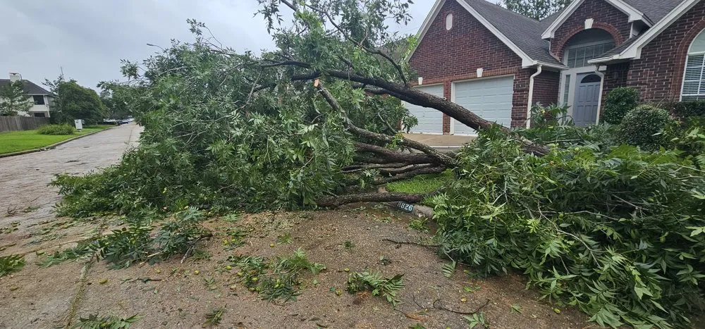 Top-rated garden landscaping experts serving Houston, TX - Texas Green House Lawn Care