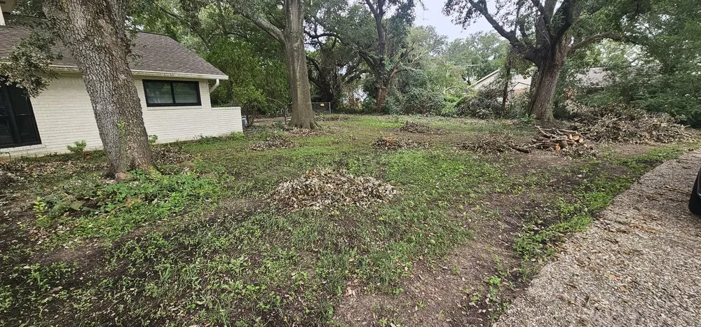 Affordable landscape installation in Houston, TX - Texas Green House Lawn Care