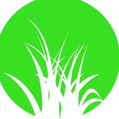 Texas Green Lawn & Landscape