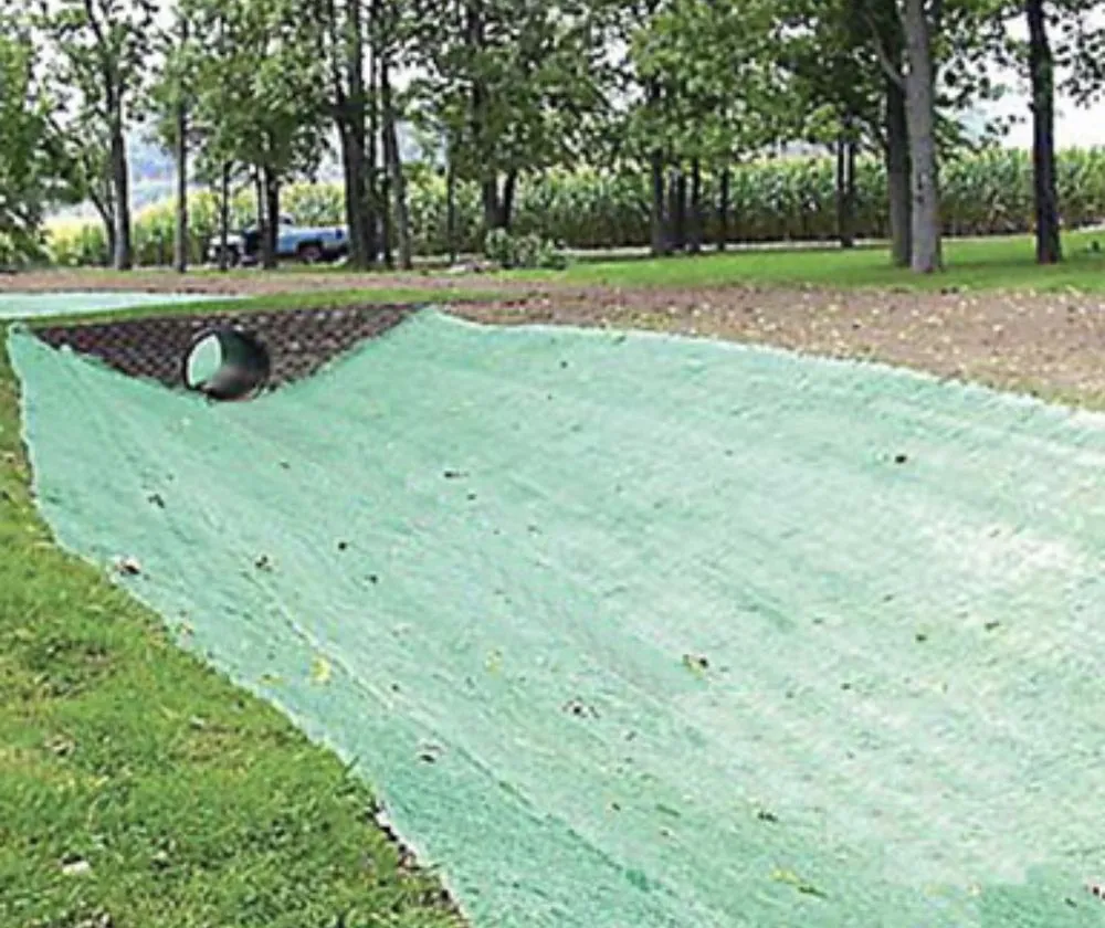 Professional yard cleanup service for year-round maintenance in Pleasanton, TX by Texas Green Lawn Services