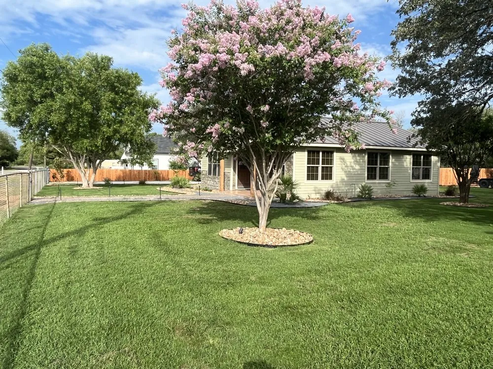 Trusted yard cleanup service experts serving Pleasanton, TX - Texas Green Lawn Services