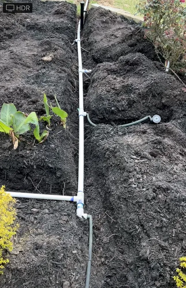 Expert yard cleanup service in Conroe, TX by Texas Green Scapes