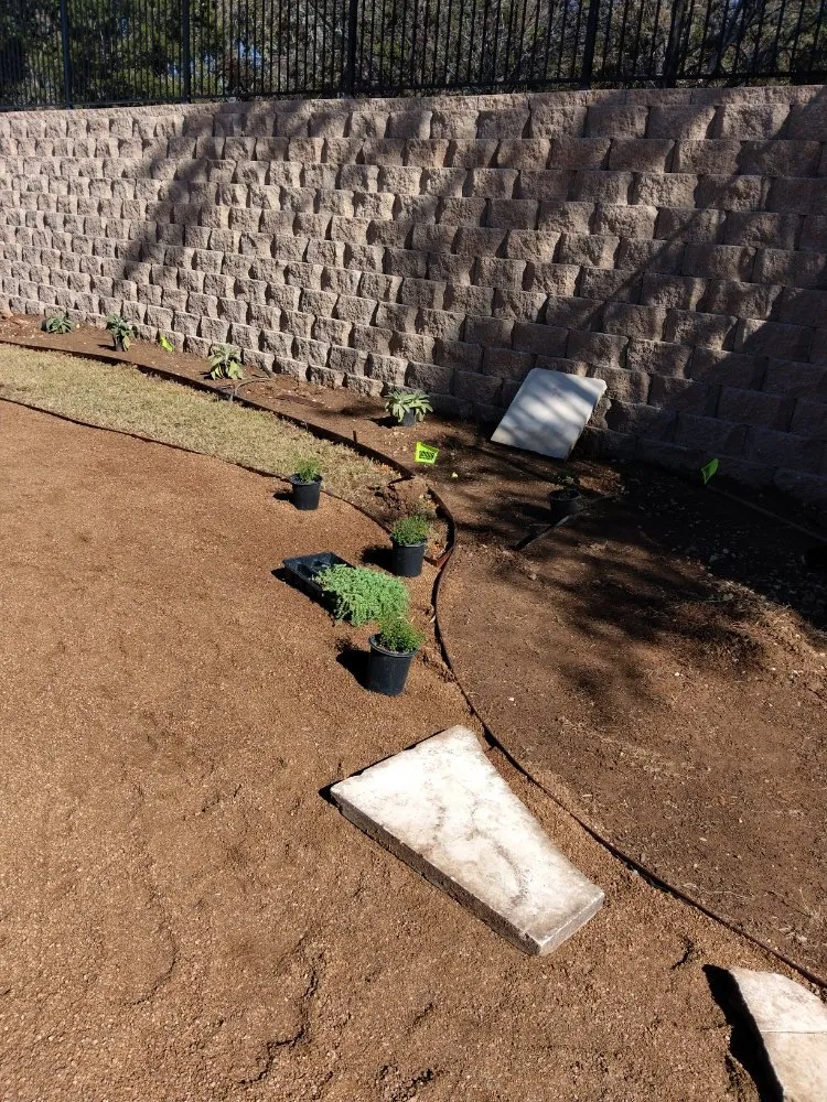 Professional lawn mowing service experts serving Florence, TX - Texas Green Services