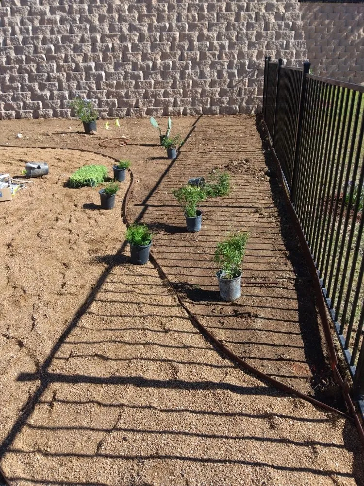 Local landscape installation in Florence, TX - Texas Green Services