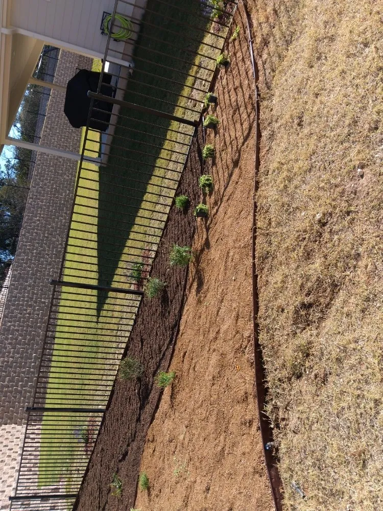 Local landscape design experts serving Florence, TX - Texas Green Services