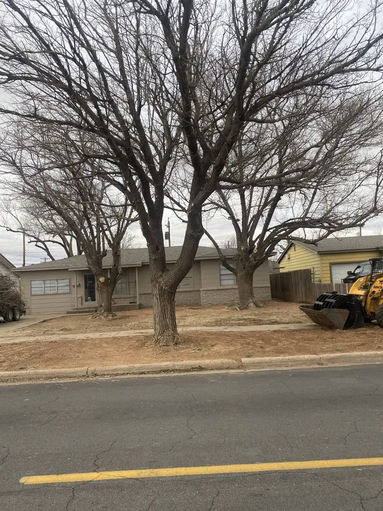 Trusted yard maintenance in Lubbock, TX - Texas Green Tree Services