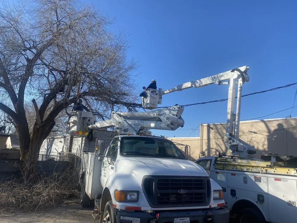 Expert lawn mowing service for homes in Lubbock, TX by Texas Green Tree Services