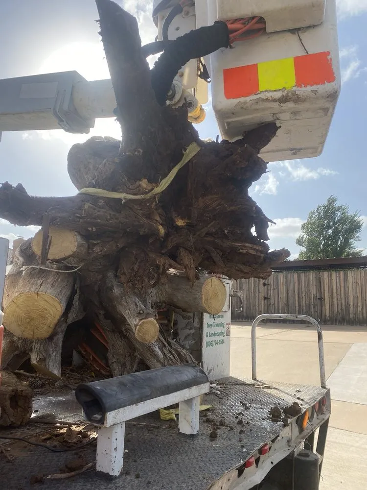 Local lawn mowing service in Lubbock, TX by Texas Green Tree Services