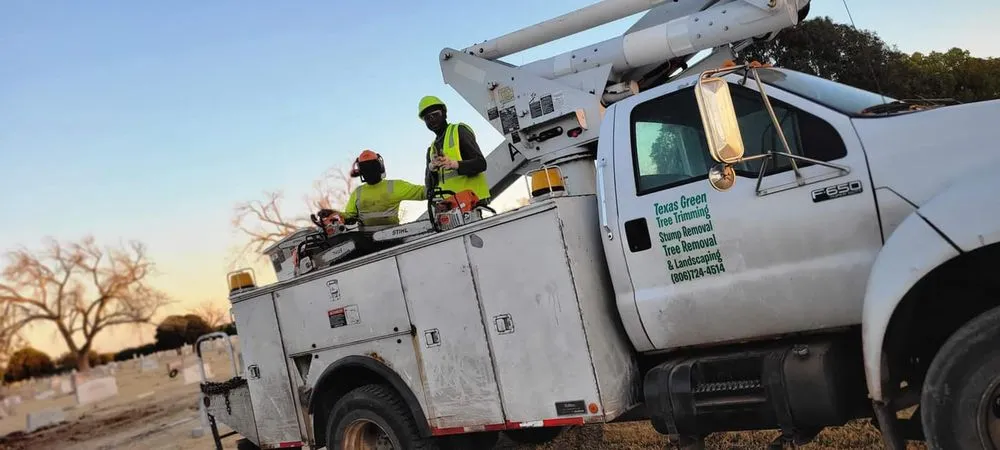 Professional outdoor landscaping for beautiful yards across Lubbock, TX - Texas Green Tree Services