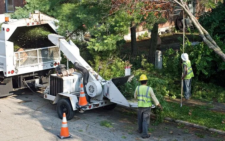 Local lawn care service for outdoor upgrades in Lubbock, TX by Texas Green Tree Services