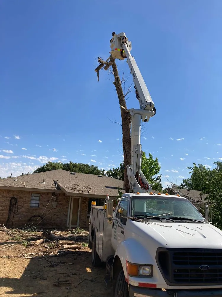 Top-rated garden landscaping in Lubbock, TX by Texas Green Tree Services