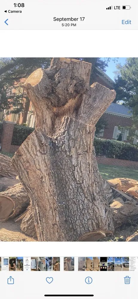 Top-rated residential landscaping for year-round maintenance across Lubbock, TX - Texas Green Tree Services